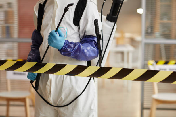 Professional Sewage Cleanup technician working in Collins, WI